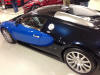 The Lingenfelter Collection...