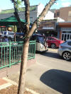 The Short Bus in downtown Birmingham, MI...
